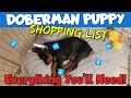 Doberman Puppy Shopping List The COMPLETE Guide