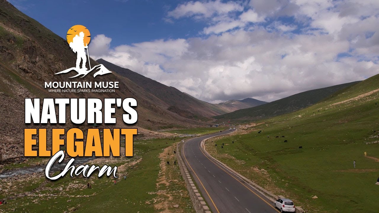 Nature's Elegant Charm: A Visual Journey Through Serene Landscapes