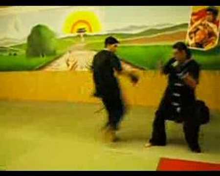 Luca D'Isanto Highlights