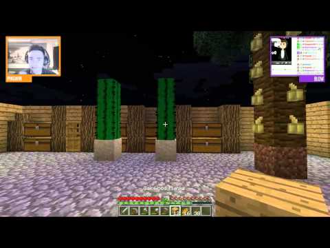 Minecraft: Pingwin i Blow SKYDEN LIVE | Część 1