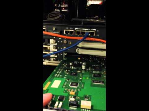 Install DS1 card in Avaya gateway