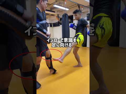 【格闘技】三日月蹴りを当てる為に“捨て技”を出せ！　#shorts