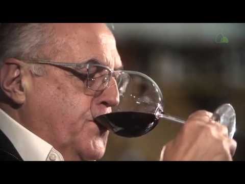 Pão de Açúcar Viva Vinhos - Plano Suprema | Junho 2016