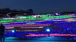 東京ドイツ村イルミネーション