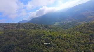 Download lagu Gunung Bulu'maya 1172 MDPL Wilayah Kecamatan Biringbulu kabupaten Gowa  mp3