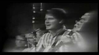 Beach Boys - Surfin' USA & Surfer Girl - (Live)