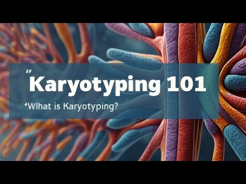 Karyotyping Explained! Discover How Scientists Read Our DNA || the Basics of Chromosome Analysis