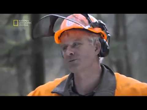 Przemek Saleta w Bieszczadach