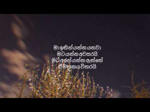 Ma ltin Yanna Yanawa /මා ඉතින් යන්න යනවා(Lyrics )#cover #ridmaweerawardena#shorts#sinhala#lyrics