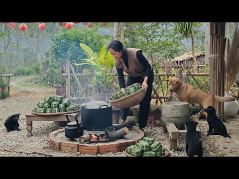 What will Lien and her dogs prepare to welcome the new year? Peaceful days at the end of the year.