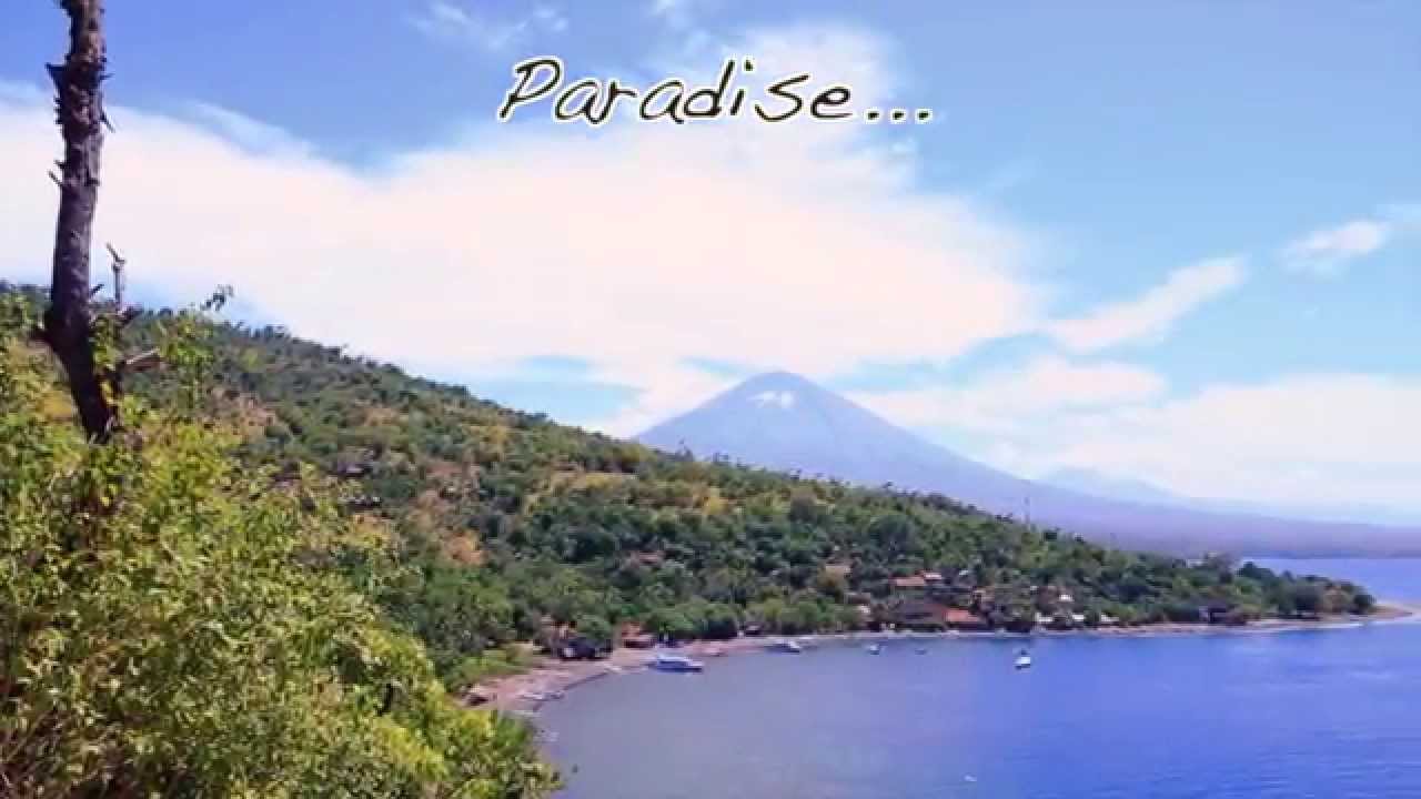 Bye Bye Plastic Bags