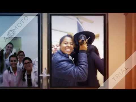 RETROSPECTIVA FONOAUDIOLOGIA ULBRA 2015