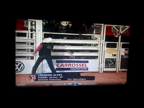 Luciano Alves vs Touro intercine Cia de rodeio Apocalipse