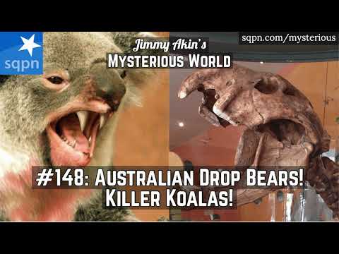 The Fearsome Australian Drop Bear! (Killer Koalas?) - Jimmy Akin's Mysterious World