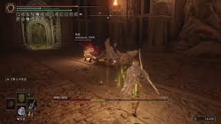 【PS版参加型エルデンリング】#12