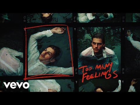Ruel - too many feelings (Lyric Video)