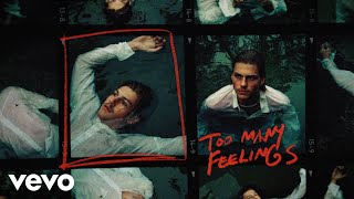 Musik-Video-Miniaturansicht zu ​too many feelings Songtext von Ruel