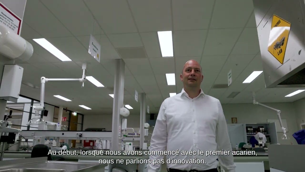 Video preview poster