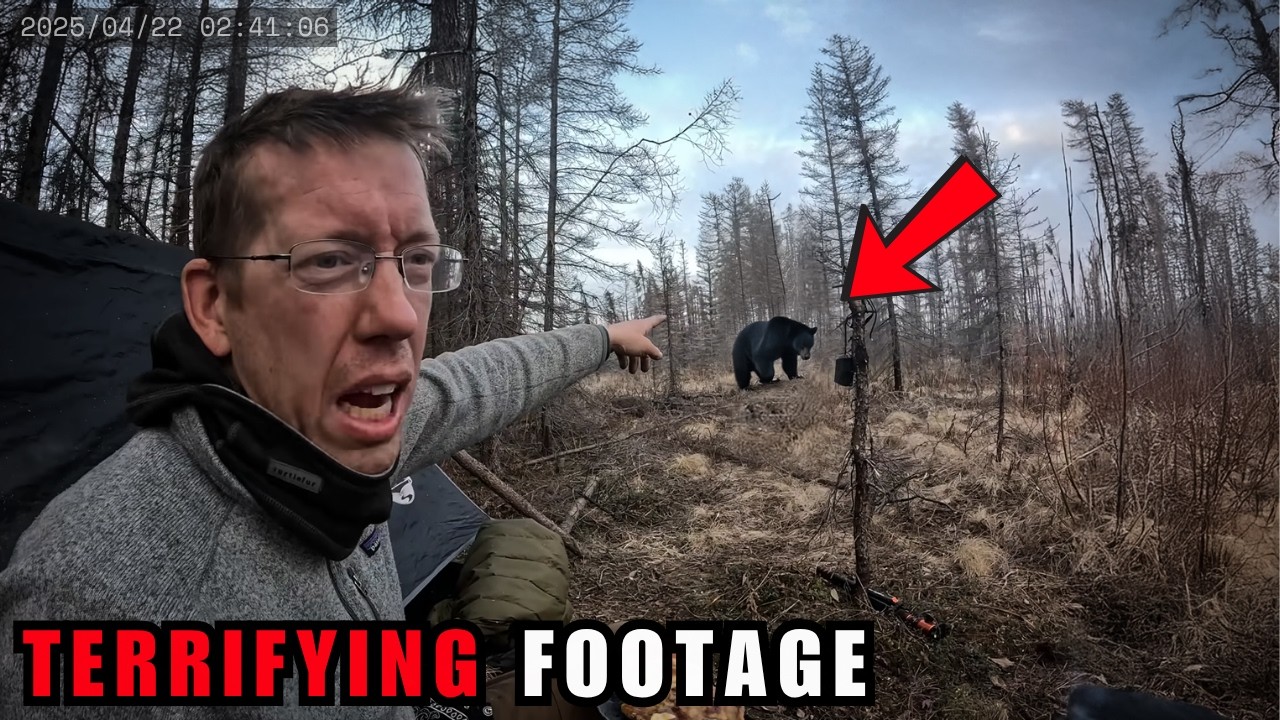 8 INTENSE Forest Encounters Caught on Camera