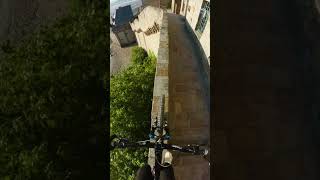 and he is AFRAID OF HEIGHTS?! 😨😮‍💨