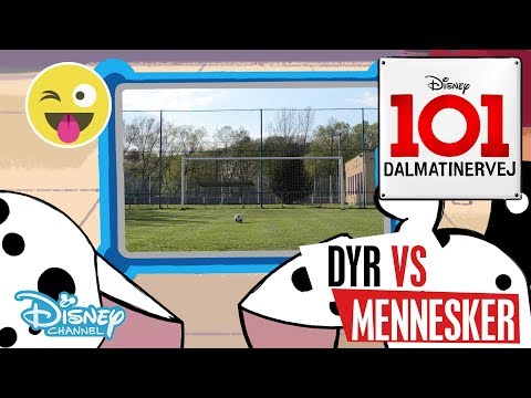 Dalmatinervej 101 | Dyr vs Mennesker: Sport ⚽️- Disney Channel Danmark