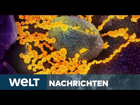 HARTE CORONA-REGELN: Kampf gegen Covid-19 - So gut machen Deutsche mit