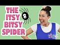 The Itsy Bitsy Spider With Jammin Jenn Nursery Rhyme Songs For Babys Toddlers And Preschoolers
