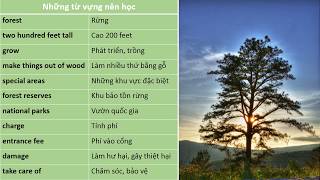 Unit 5: TREES IN THE FOREST