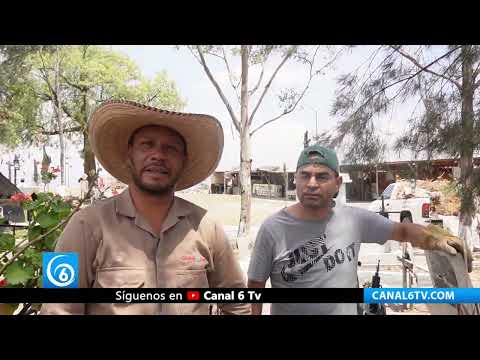 Video: Limpian y ordenan panteon municipal en Valle de Chalco