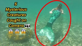 ক্যামেরায় ধরা পড়া ৫টি রহস্যময় প্রাণী...😱💀#mythicalcreatures #myth #mystery