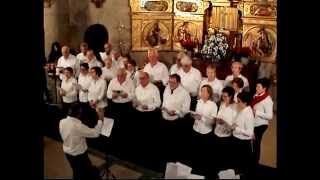 preview picture of video 'EN EL SILENCIO - Coro Parroquial de Los Arcos (Navarra)'