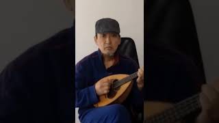 il Padrino con mandolino
