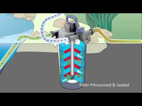 Watch Video on YouTube