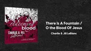Charlie &amp; Jill LeBlanc - There Is A Fountain / O the Blood (Redeeming Blood)