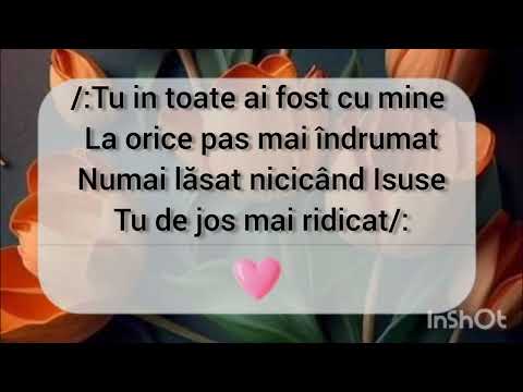 Negativ ton băiat| Astăzi vin stăpâne Doamne