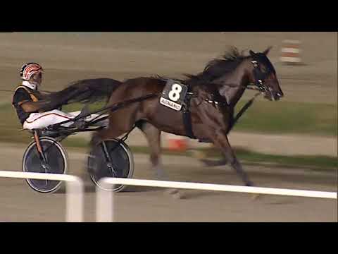 Napoli Trotto 18/08/2023 - 5ª corsa