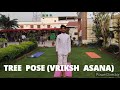 Tree Pose Vriksh Asana