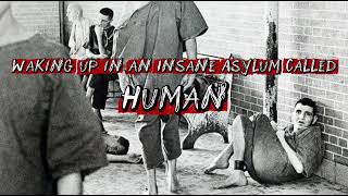 The Insane Asylum Called Human