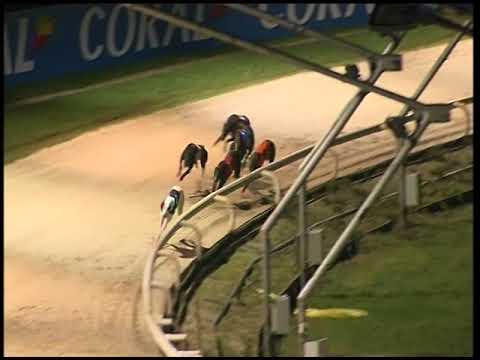 2017 CORAL OLYMPIC - HEAT 5 - T4 SPORTING DAVE