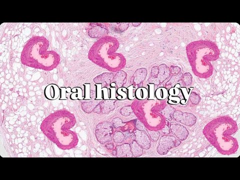Oral mucosa part 1