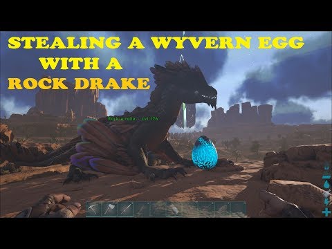 Ark - Scorched Aberration - Egg hunting in the scar with a ROCK DRAKE.