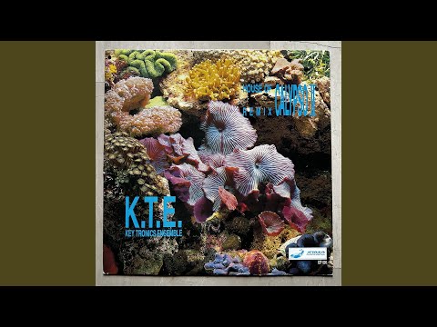 House of Calypso (Remix Version)