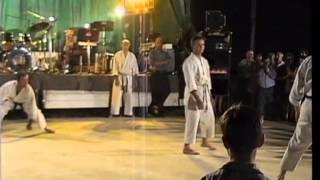 preview picture of video 'Dimostrazione di Karate Ten-shin-kan'