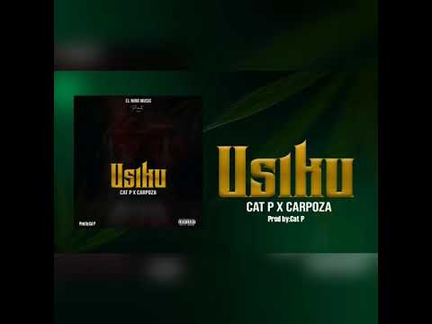cat p ft carpoza - usiku (Official Audio)