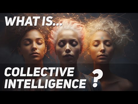 What Is Collective Intelligence? Explained in 3 minutes.