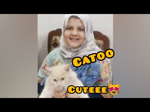 Meet masooma's cat 🐈|so cute😻