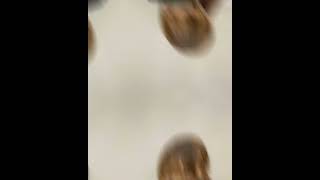 誰よりもっと傷つけたくない愛してる【スナップショット！！】ハロウィンスナップ　メイドコス  #jk #trending   #tiktok ＃恋中真央 ＃おすすめ