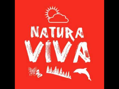 Joy Kitikonti & Bimas Jr. - Danca Sob O Sol