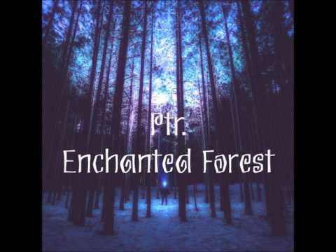 Ptr. - Enchanted Forest