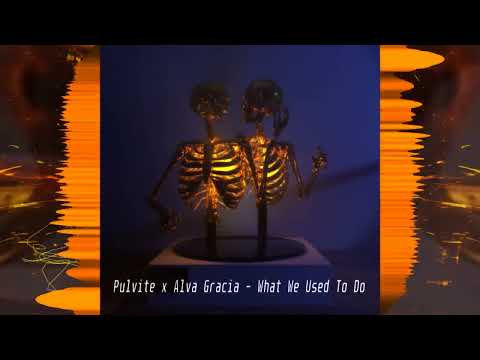Pulvite & Alva Gracia - What We Used To Do